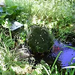 Mautner 3* Водице