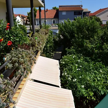 Mautner Vodice