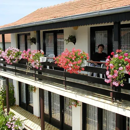 Mautner Vodice
