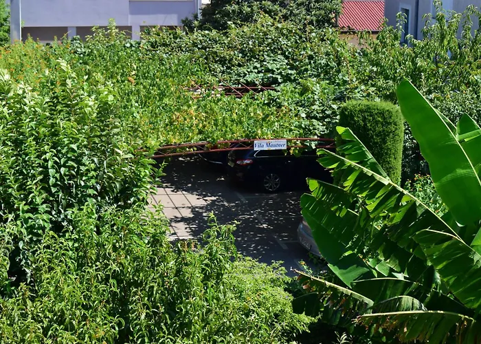 Mautner ヴォディツェ